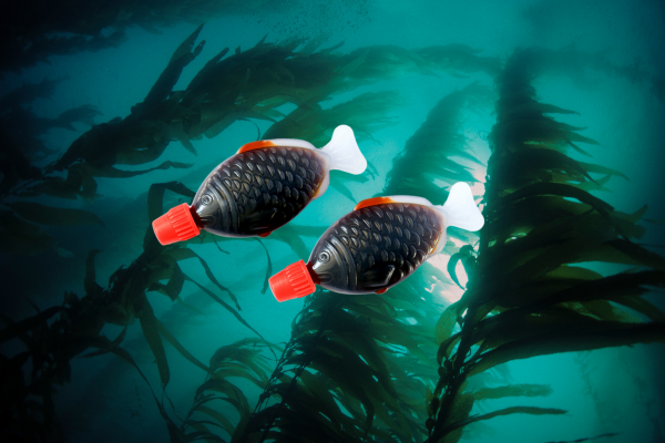 SA Bans Soy Sauce Fish Containers